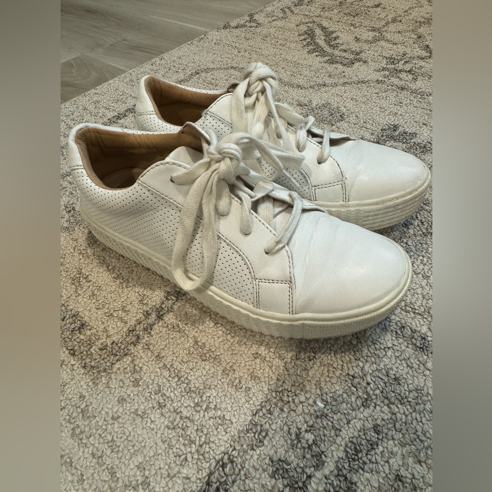 Steve Madden Sneakers